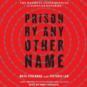 Prison by Any Other Name by Victoria Law, Maya Schenwar